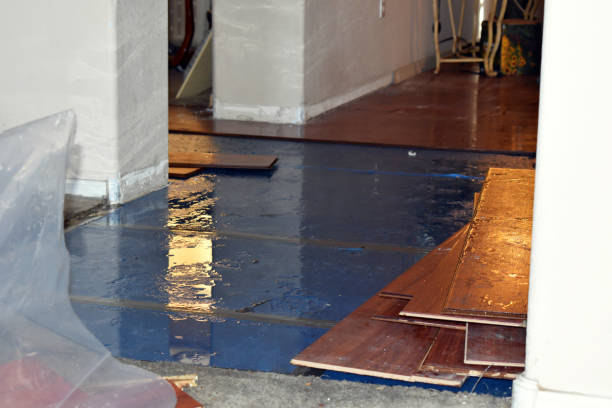 Professional Water Damage Restoration technician working in Marion, IN